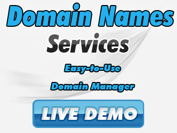 Economical domain registration service providers